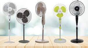 Fans