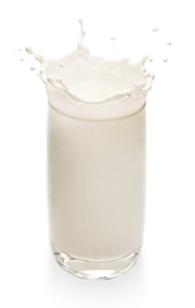 -Purotatto Milk T-shirt