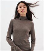 In Wear Fang Roll Neck Fitted Top