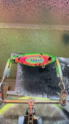 Watermelon Seed