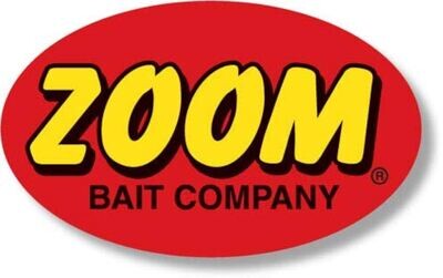 ZOOM