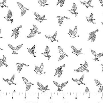 Nature's Sketchbook Birds In Flight Black/White