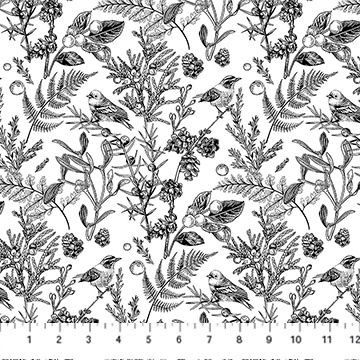 Nature's Sketchbook Meadowlark Black/White