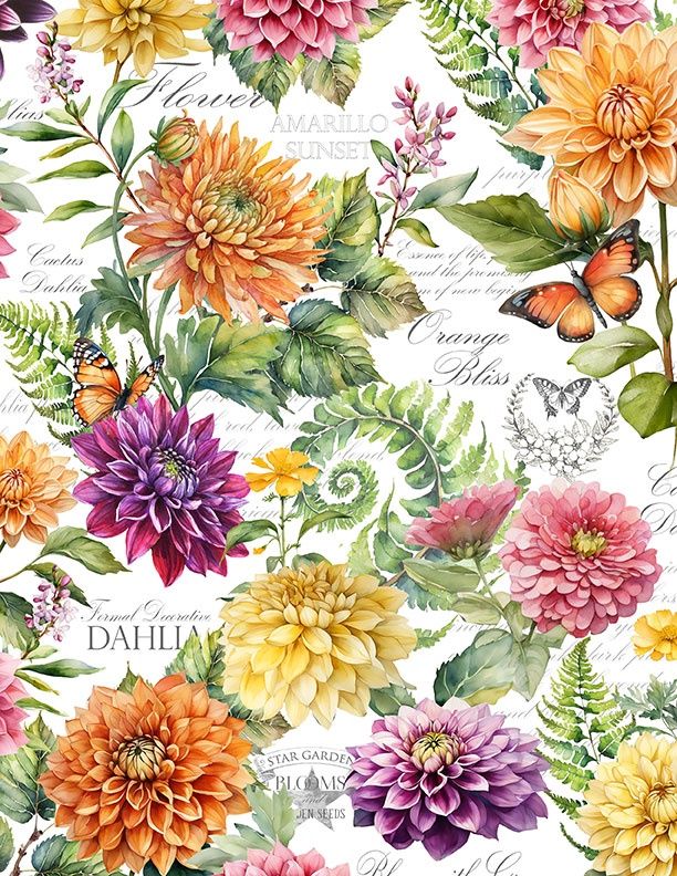 Dahlia Botanica Large Floral Multi