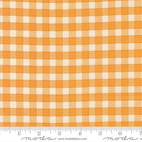 Animal Park Fun Checks Canary