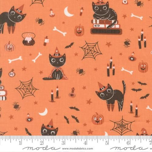 Purrs and Boos Cat Novelty Pumpkin