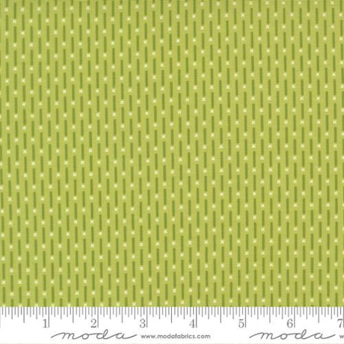 Poinsettia and Pear Candy Stripes Pistachio