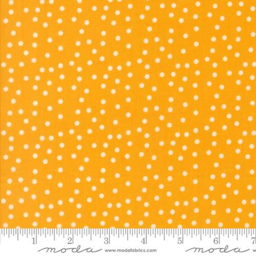 Makers Delight Small Dot Dot Chrome