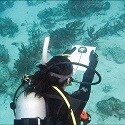 PADI eLearning - Underwater Navigator