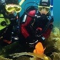 PADI eLearning - Dry Suit Diver
