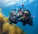 PADI eLearning - Digital Underwater Photographer
