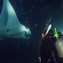 PADI eLearning - Night Diver