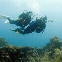PADI eLearning - Deep Diver - no video