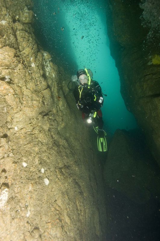 PADI eLearning - Deep Diver PADI eLearning - Deep Diver