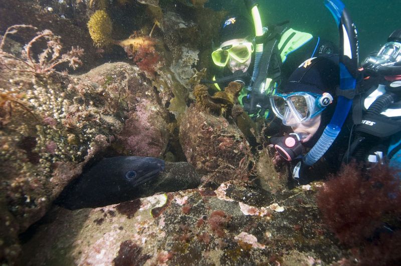 PADI eLearning - Deep Diver - no video PADI eLearning - Deep Diver - no video