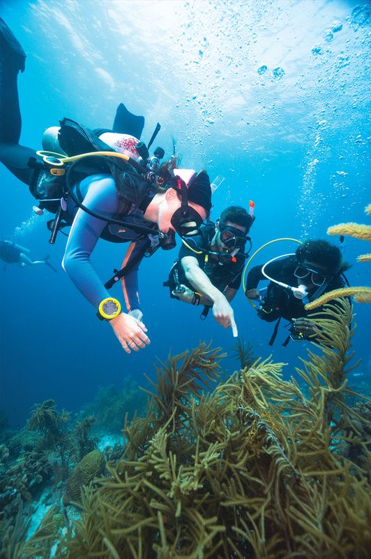 PADI Digital - Advanced Open Water Diver Video - Student Edition PADI Digital - Advanced Open Water Diver Video - Student Edition