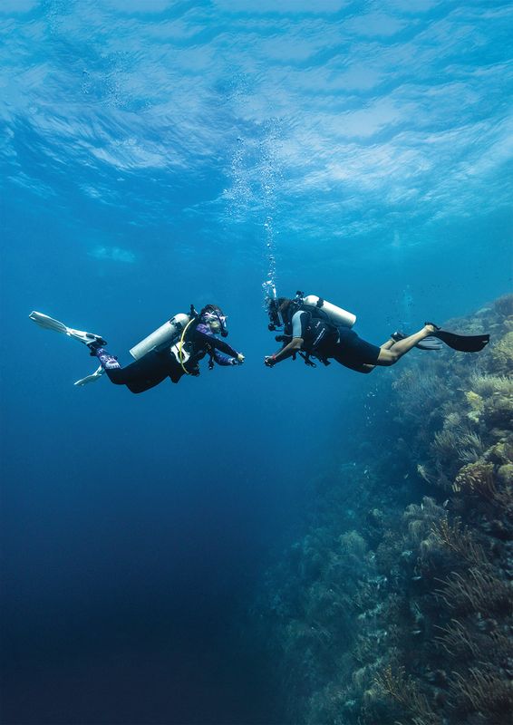PADI Digital - Peak Performance Buoyancy Video - Student Edition PADI Digital - Peak Performance Buoyancy Video - Student Edition