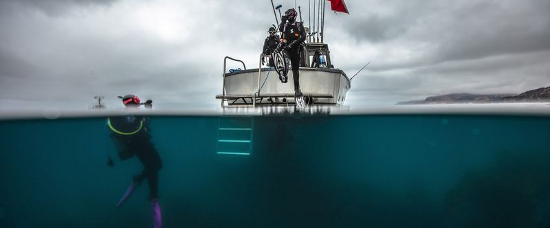 PADI eLearning - Boat Diver PADI eLearning - Boat Diver
