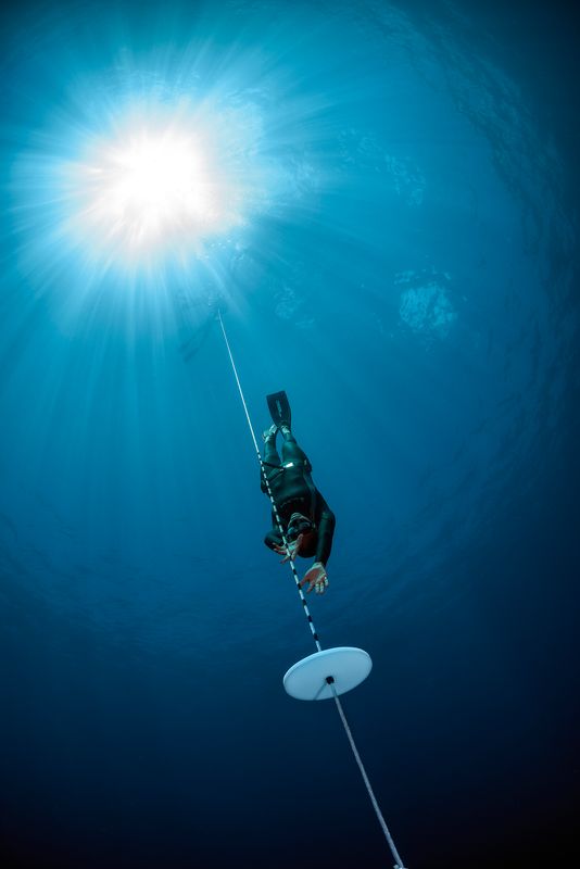 PADI eLearning - Freediver PADI eLearning - Freediver