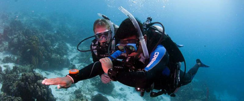 PADI eLearning - Underwater Navigator PADI eLearning - Underwater Navigator