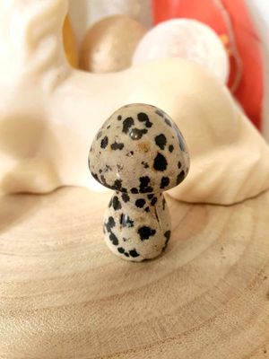 CHAMPIGNON JASPE DALMATIEN