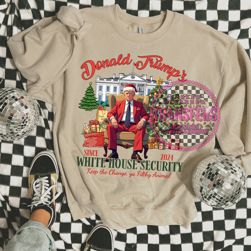 WHITE HOUSE SECURITY