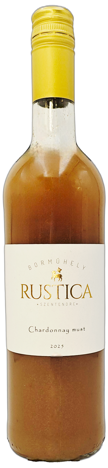 Must - alkoholmentes (100% szőlőlé)