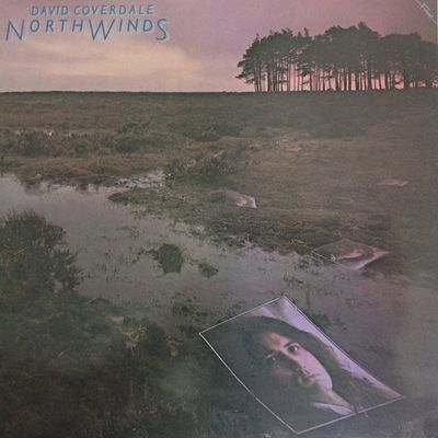 David Coverdale - Northwinds (LP, Album, RE) (Very Good Plus (VG+))