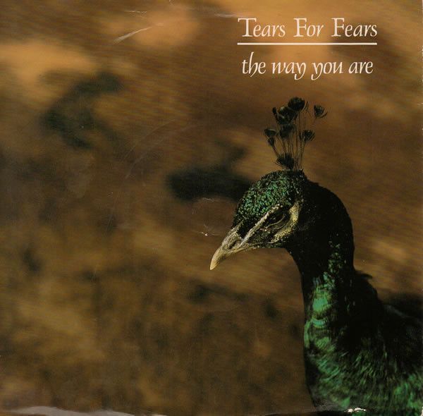 Tears For Fears - The Way You Are (7", Single, Sil) (Near Mint (NM or M-))