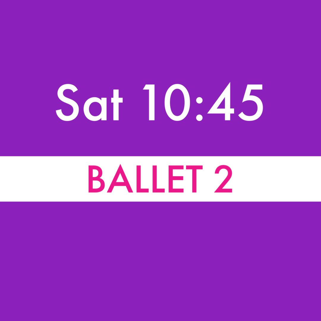 Sat 10:45am Ballet 2 Recital Tights - Light Pink
