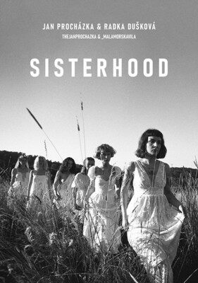 Film Sisterhood na DVD