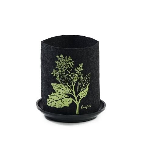 Live Wires - Ecofelt Grow Bag