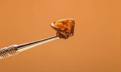 Dab Concentrates