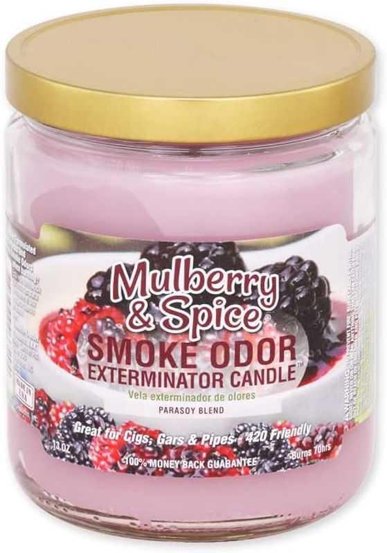 Smoke Odor Exterminator Candle 13oz, Mulberry &amp; Spice
