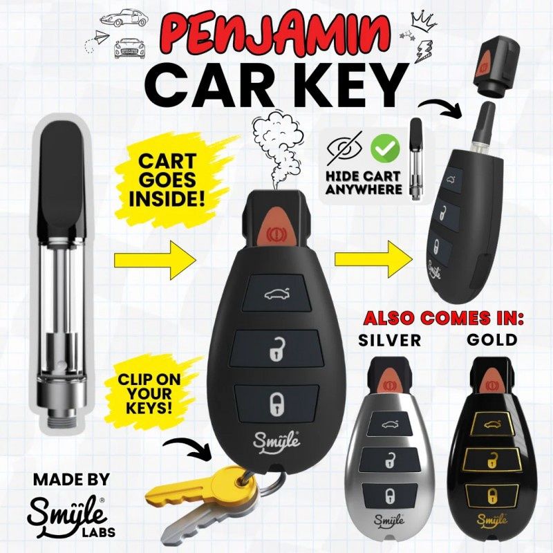Smyle, Penjamin Car Key 510 Cart Battery