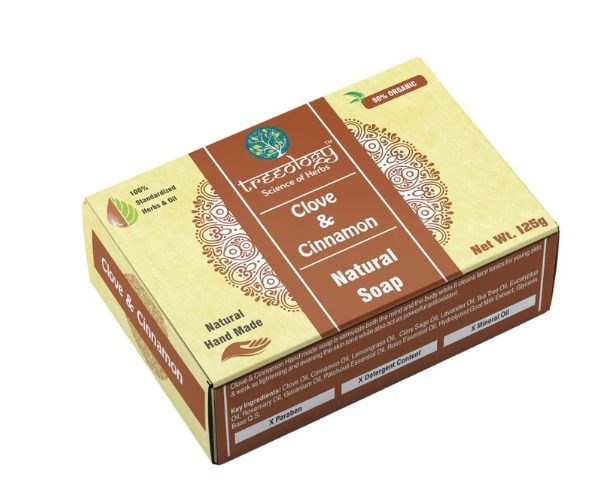 TREEOLOGY CLOVE AND CINNAMON SOAP