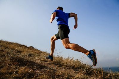 Energy/Endurance Support