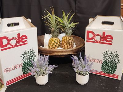 Hawaiian Pineapples (Package of 2)