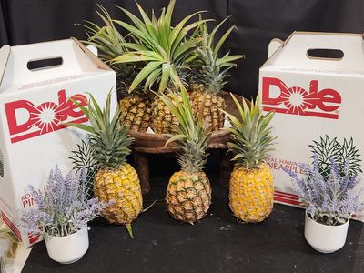Hawaiian Pineapples (Package of 5)