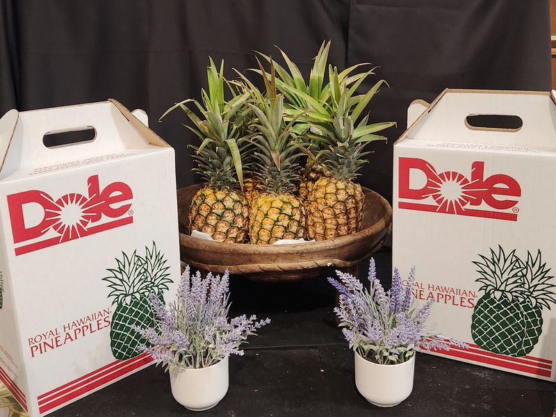 Hawaiian Pineapples (Package of 3)