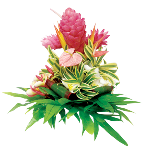 K-3 Anthurium and Orchid Mix