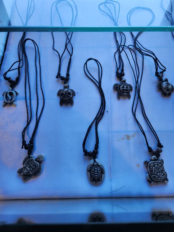 Turtle necklace