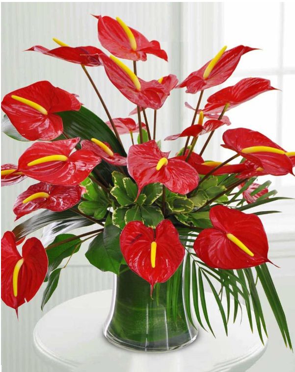 Pua Me Ke Aloha “Flowers with Love” Great for gifting occasions K3