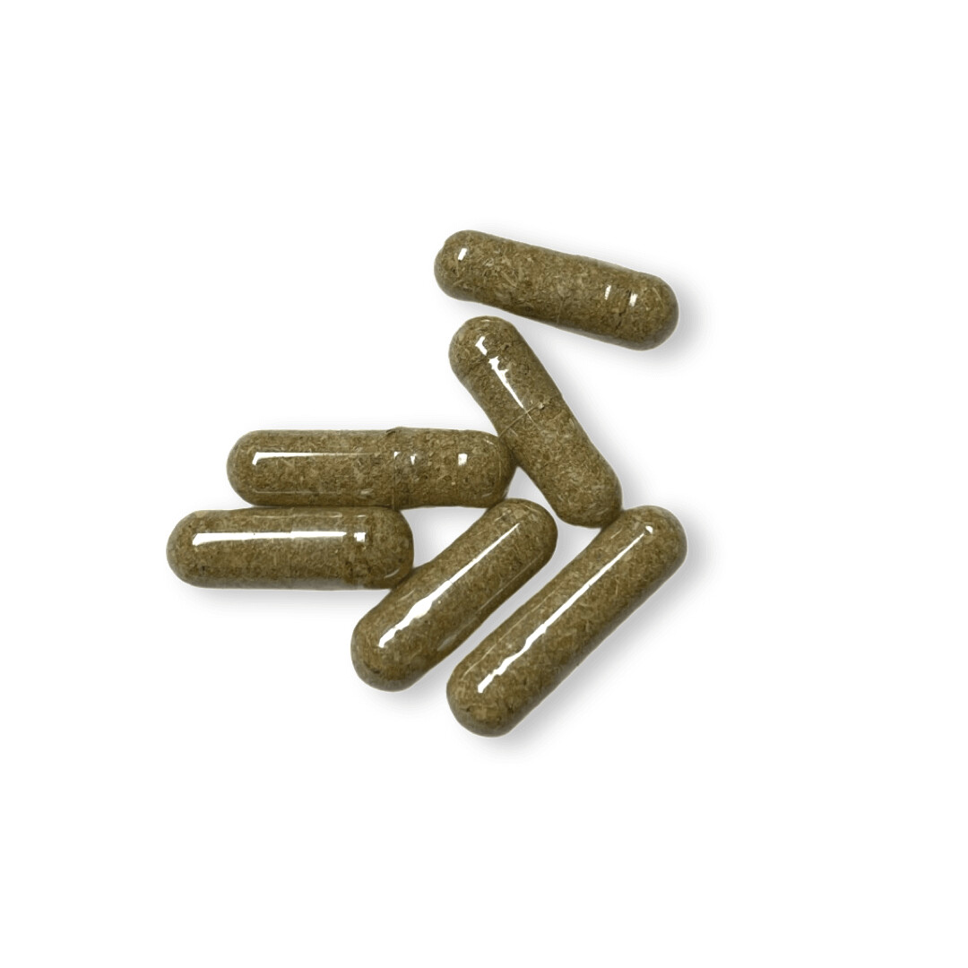 magic mushroom capsules .25g
