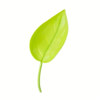 Plant Leaf water funnel