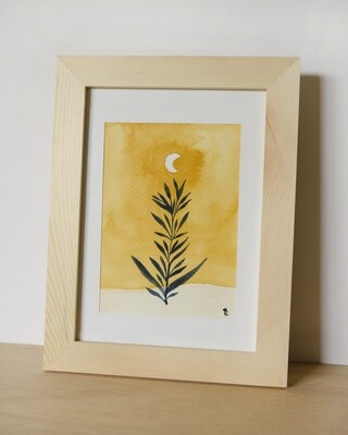 Plante lunaire