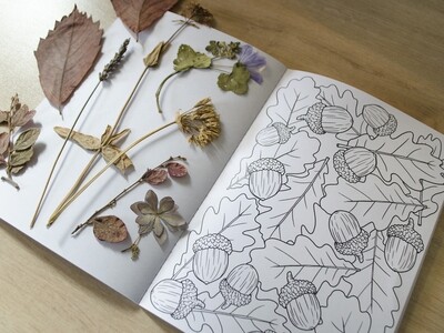 Coloriages