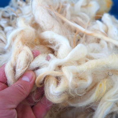 Naturfasern für Nisthilfen