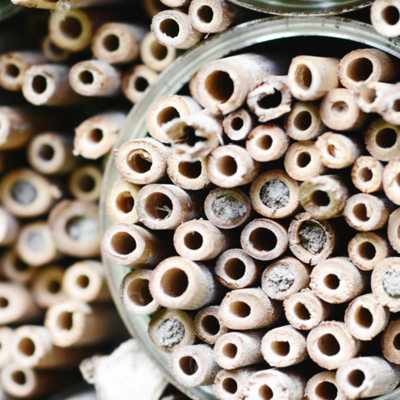 Komplettsets für Nisthilfen