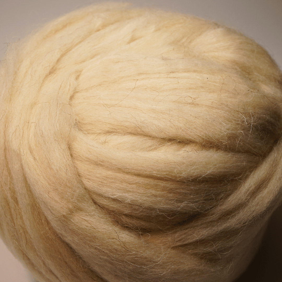 Schafwolle von Coburger Fuchsschafen